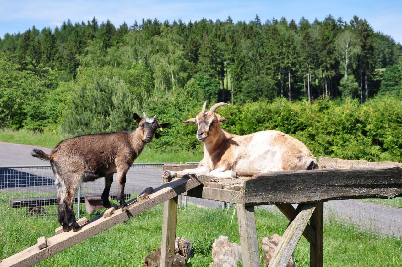 Campingplatz Am Waldbad Breitenbach  Exterior foto